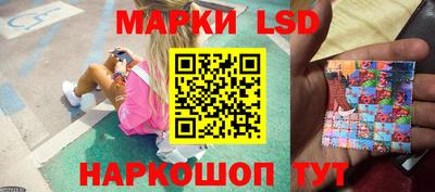 эйфоретик Гатчина